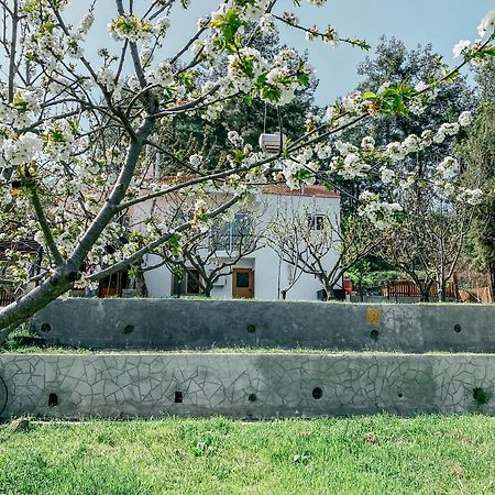 הוילה לימסול Milea Mansion מראה חיצוני תמונה